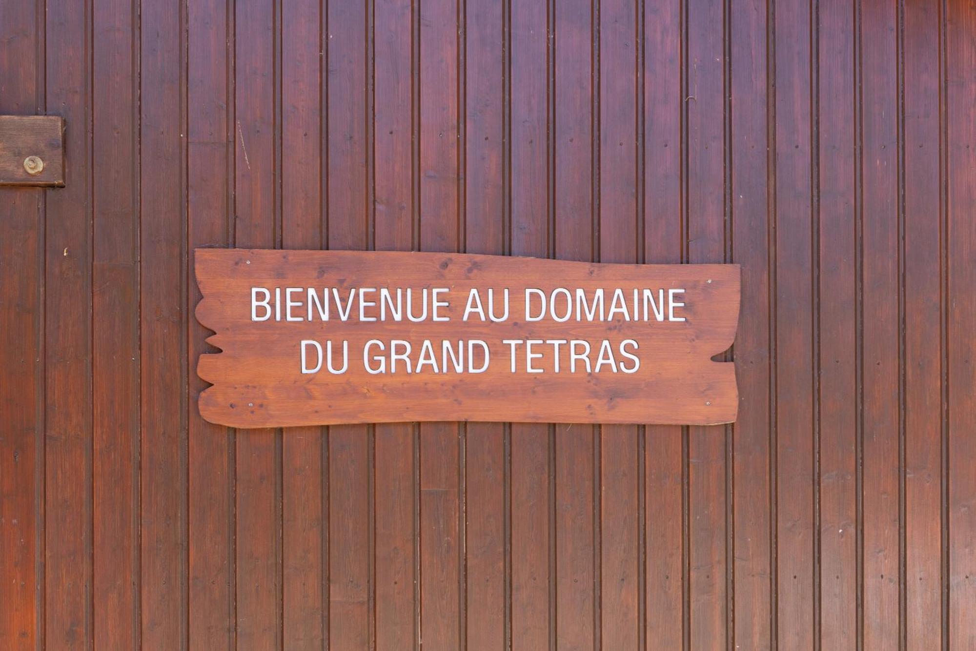 Appt Le Grand Tetras F14 - 4 Pers Appartement Samoëns Buitenkant foto